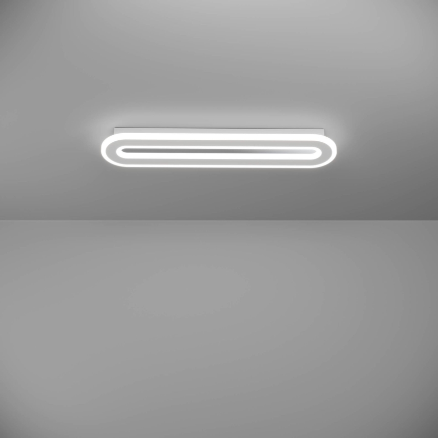 Eglo - LED Dimmable φωτιστικό οροφής LED/20W/230V 2700-6500K λευκό + τηλεχειριστήριο
