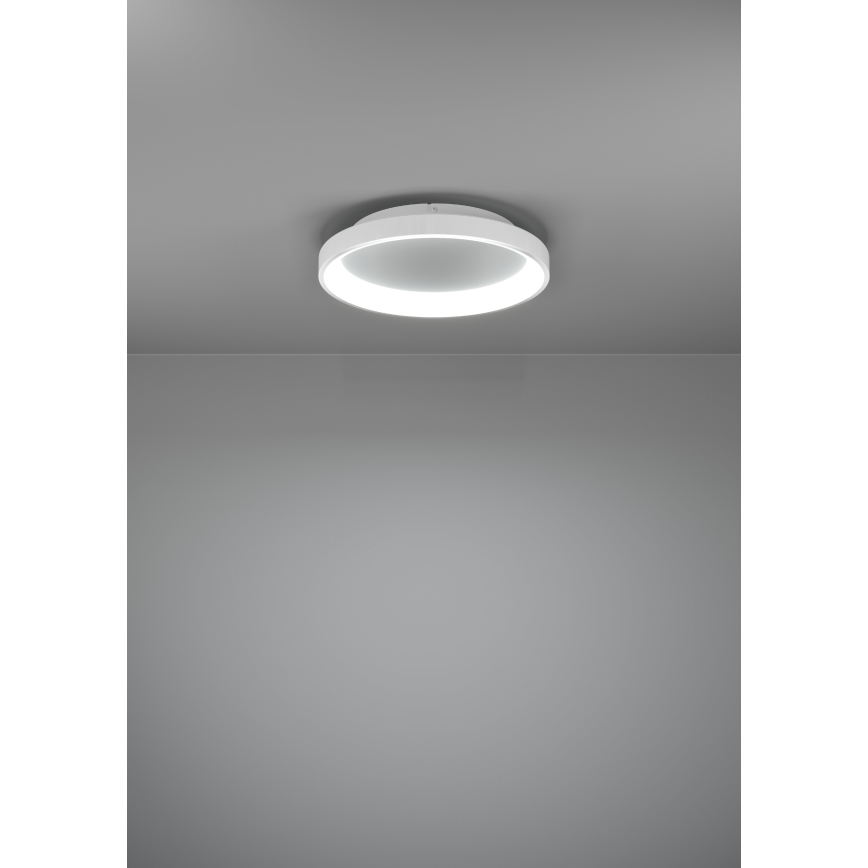 Eglo - LED Dimmable φωτιστικό οροφής LED/12W/230V 2700-6500K λευκό + τηλεχειριστήριο