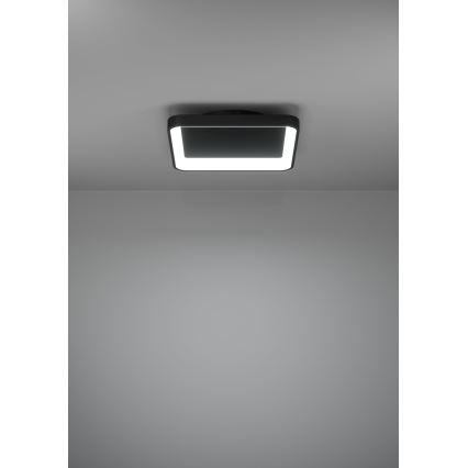 Eglo - LED Dimmable φωτιστικό οροφής LED/12W/230V 2700-6500K μαύρο + τηλεχειριστήριο