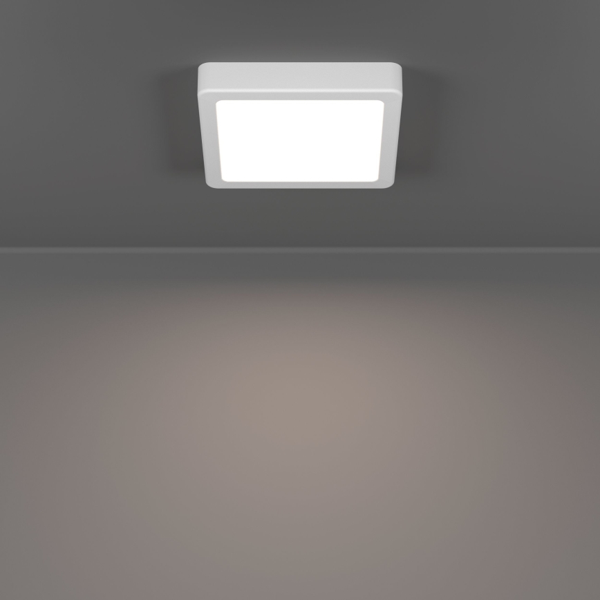 Eglo - LED φωτιστικό οροφής LED/7W/230V 2700/4000/6500K 15x15 cm λευκό