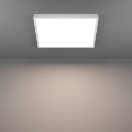 Eglo - LED φωτιστικό οροφής LED/17,5W/230V 2700/4000/6500K 39x39 cm λευκό