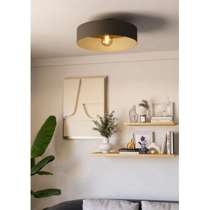 Eglo - Φωτιστικό οροφής 1xE27/40W/230V γκρι