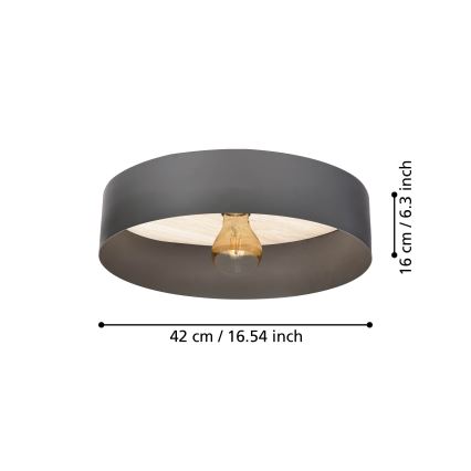 Eglo - Φωτιστικό οροφής 1xE27/40W/230V γκρι