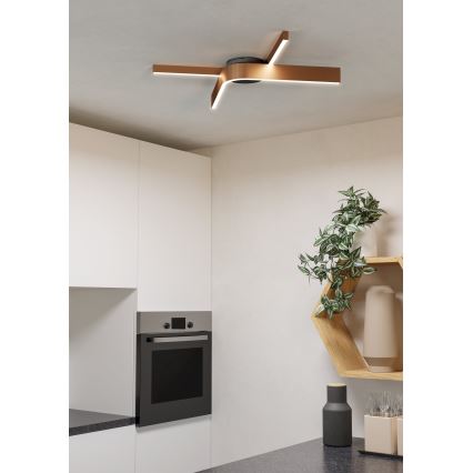 Eglo - LED RGBW ρυθμιζόμενο φωτιστικό οροφής 2xLED/18W/230V χάλκινο/μαύρο