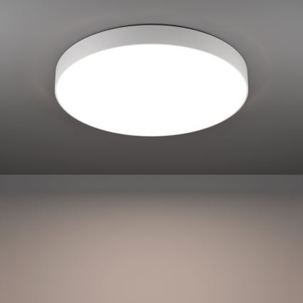 Eglo - LED RGBW Ρυθμιζόμενο φωτιστικό οροφής LED/36,5W/230V 2700-6500K Ø 69 cm λευκό