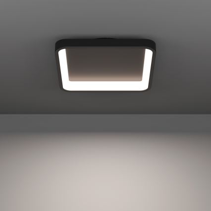 Eglo - LED RGBW Ρυθμιζόμενο φωτιστικό οροφής LED/20W/230V 2700-6500K 35x35 cm μαύρο