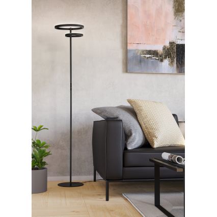 Eglo - Ρυθμιζόμενο φωτιστικό δαπέδου LED/16W/230V + LED/12W μαύρο