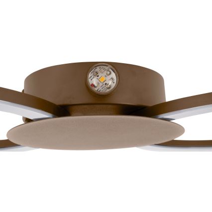 Eglo - Επιτοίχιο φωτιστικό LED/20W/230V + LED/0,91W μπεζ