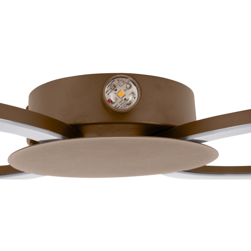 Eglo - Επιτοίχιο φωτιστικό LED/20W/230V + LED/0,91W μπεζ