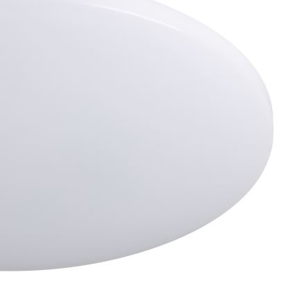 Eglo - LED RGBW Ρυθμιζόμενο φωτιστικό οροφής LED/25W/230V 2700-6500K διάμ. 50 cm