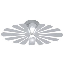 EGLO 91199 - Φως οροφής τοίχου BANTRY 1xE14/40W
