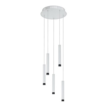 Eglo 93798 - Κρεμαστό φως LED RAPARO 5xLED/5W/230V