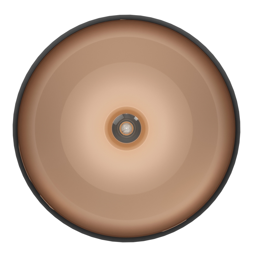 Eglo - Οροφής φωτιστικό 1xE27/60W/230V