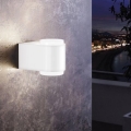 Eglo 95077 - Εξωτερικό επιτοίχιο φωτιστικό BRIONES 2xLED/3W/230V IP44