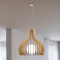 Eglo 96215 - Φωτιστικό οροφής TINDORI 1xE27/60W/230V