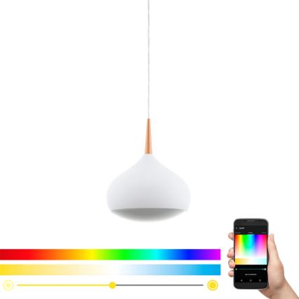 Eglo 97087 - Ρυθμιζόμενο κρεμαστό LED RGBW φωτιστικό COMBA-C LED/18W/230V