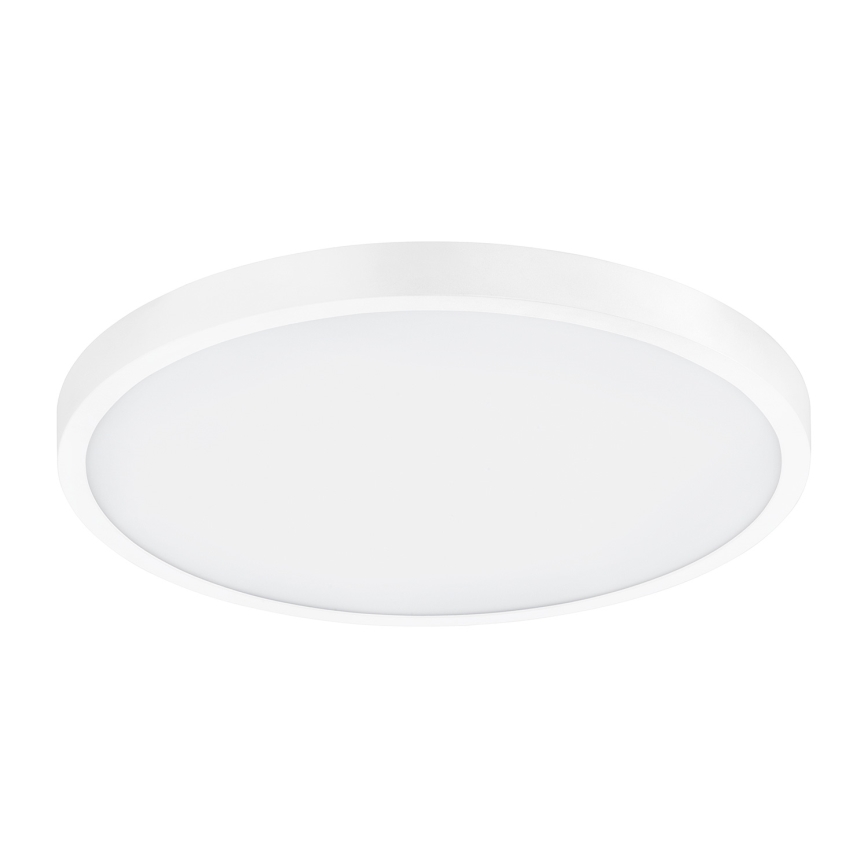Eglo - LED φωτιστικό οροφής 1xLED/25W/230V λευκό στρογγυλό 2500 lm διάμ. 40 cm
