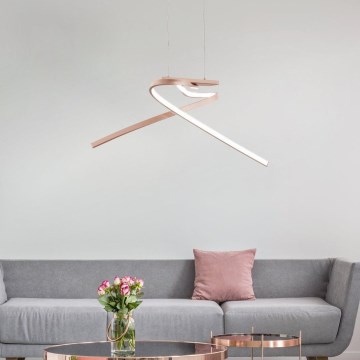 Eglo 97362 - Πολύφωτο LED σε σχοινί PALOZZA 2xLED/11W/230V