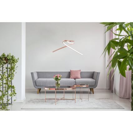 Eglo 97362 - Πολύφωτο LED σε σχοινί PALOZZA 2xLED/11W/230V