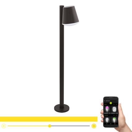 Eglo - LED Ρυθμιζόμενος εξωτερικός φωτισμός CALDIERO-C 1xE27/9W/230V ανθρακί IP44