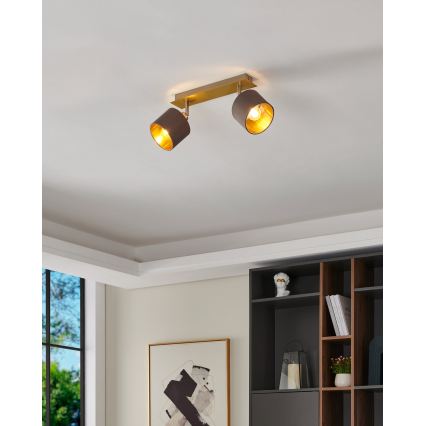 Eglo - Φωτιστικό σποτ 2xE14/10W/230V