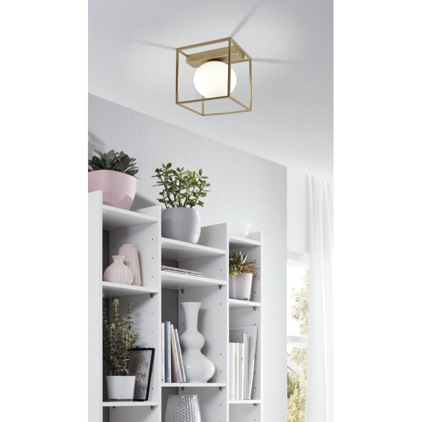 Eglo - Συνδεδεμένο πολύφωτο 1xE14/40W/230V