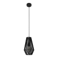 Eglo 97795 - Κρεμαστό φωτιστικό με καλώδιο PALMONES 1xE27/60W/230V