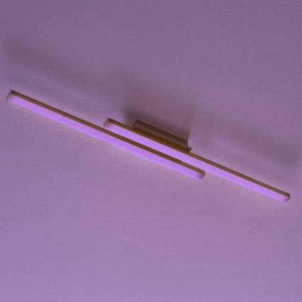 Eglo - LEDRGB Dimming πλαφονιέρα οροφής FRAIOLI-C 2xLED/17W/230V