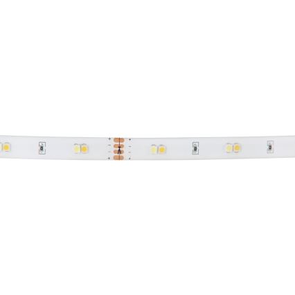 Eglo - RGB LED Ρυθμιζόμενη Ταινία LED/10W/230V IP20 2m