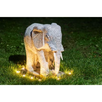 Eglo - LED Εξωτερική διακοσμητική γιρλάντα 9xLED 10m IP65 θερμό λευκό