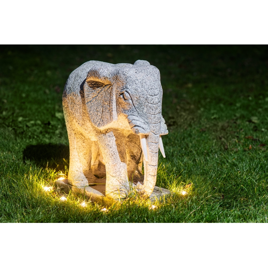 Eglo - LED Εξωτερική διακοσμητική γιρλάντα 9xLED 10m IP65 θερμό λευκό