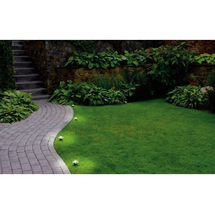 Eglo - LED Εξωτερική διακοσμητική γιρλάντα 9xLED 10m IP65 θερμό λευκό