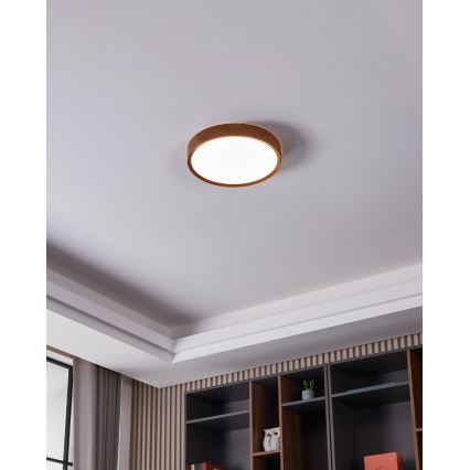 Eglo - Φωτιστικό οροφής LED LED/14,6W/230V