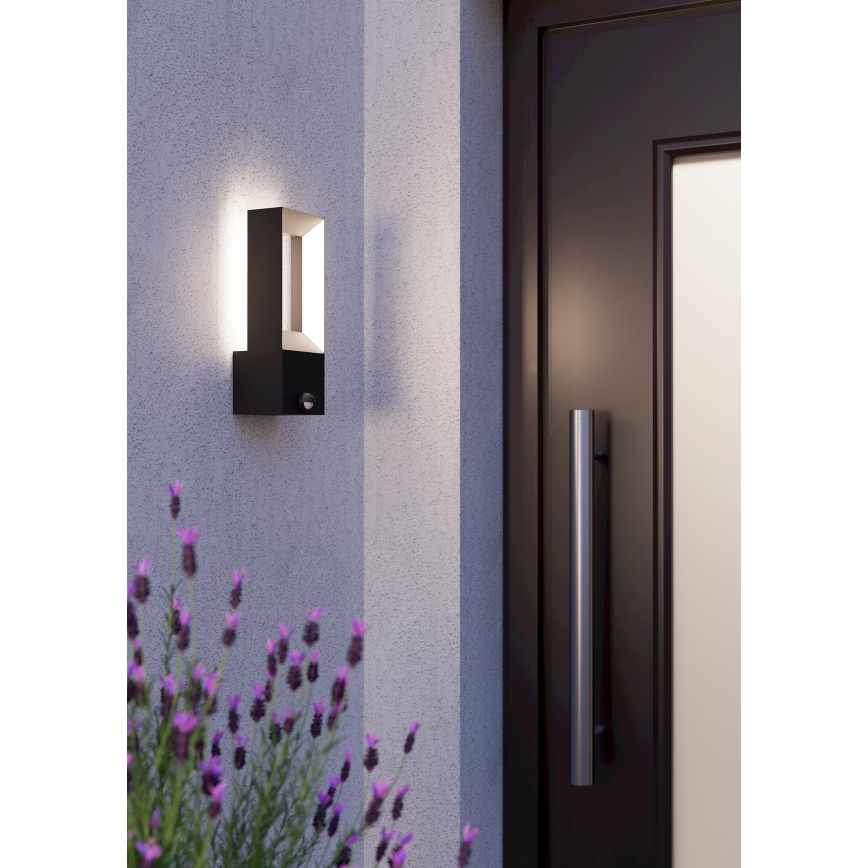 Eglo - LED Εξωτερικό φωτιστικό τοίχου με αισθητήρα 2xLED/5W/230V IP44