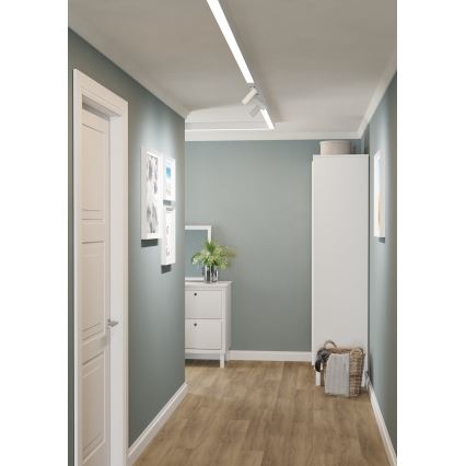 Eglo - Σποτ LED για σύστημα ράγας 1xLED/9W/230V