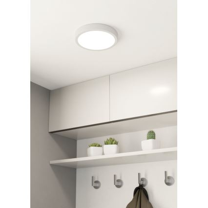 Eglo - Φως οροφής dimmer LED LED/16,5W/230V