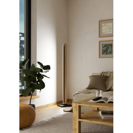Eglo - LED Dimming αφής επιδαπέδιο φωτιστικό CAMACHO LED/22W/230V