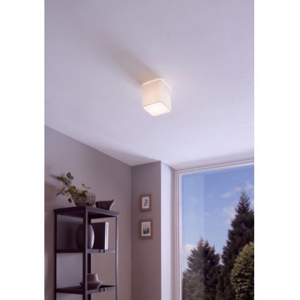 Eglo - Φως οροφής 1xE27/28W/230V