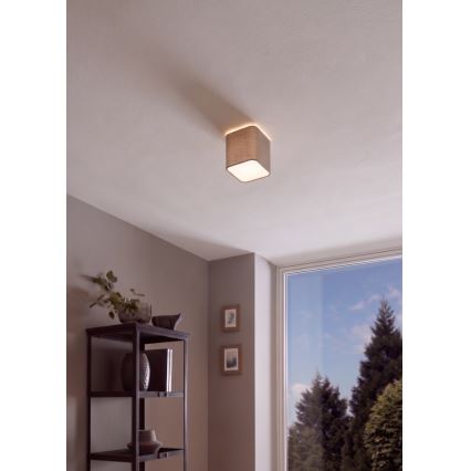 Eglo - Φως οροφής 1xE27/28W/230V