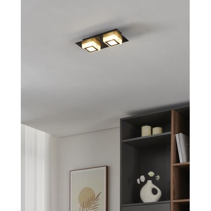 Eglo 99362 - Φωτιστικό οροφής LED MASIANO 2xLED/3,3W/230V