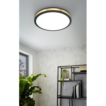 Eglo - Φως οροφής LED LED/24W/230V