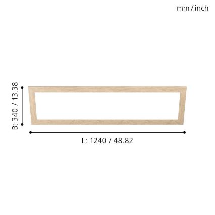 Eglo - Πλαίσιο για φωτιστικό SALOBRENA 300x1200 mm