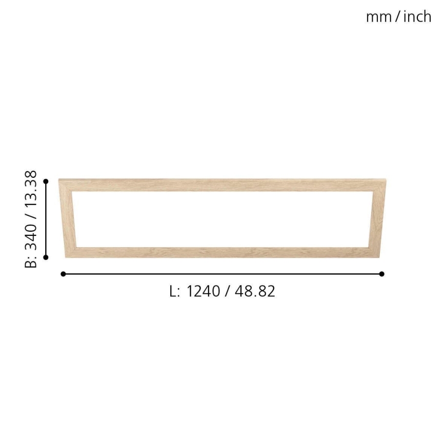 Eglo - Πλαίσιο για φωτιστικό SALOBRENA 300x1200 mm