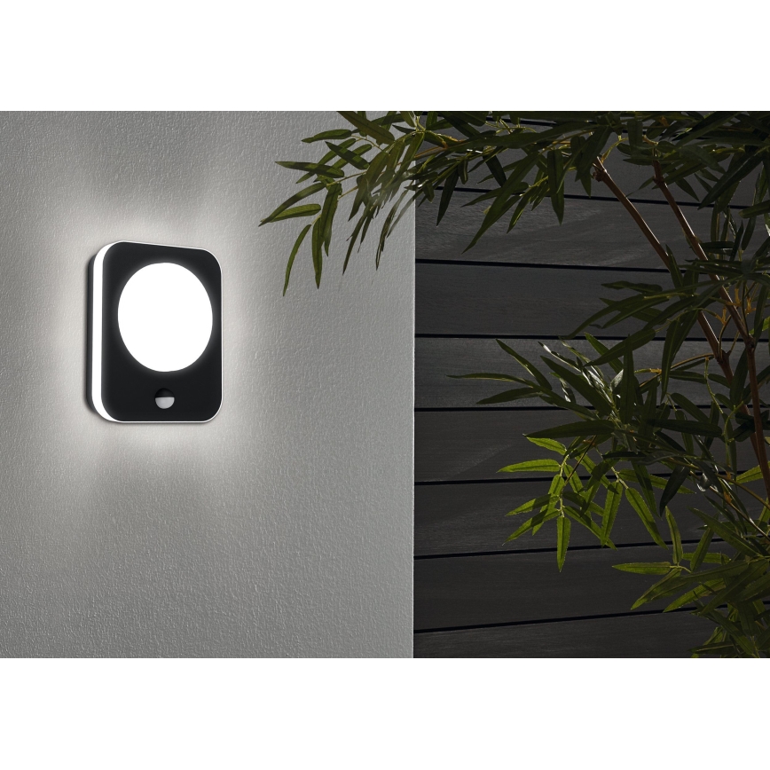 Eglo - Εξωτερικό φωτιστικό τοίχου LED με αισθητήρα LED/9W/230V IP44