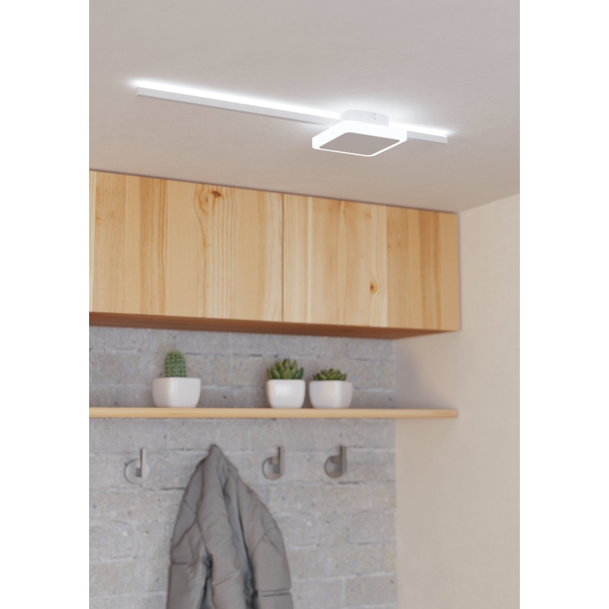 Eglo - LED Φωτιστικό οροφής 1xLED/6,3W/230V + 1xLED/5,4W