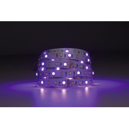 Eglo - Ρυθμιζόμενη λωρίδα LED RGBW 5μ LED/11W/12/230V 2700-6500K ZigBee