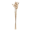 Eglo - Dried λουλούδι 60 cm μπεζ