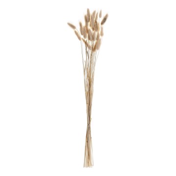 Eglo - Dried λουλούδι 60 cm μπεζ