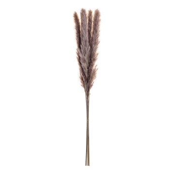 Eglo - Dried λουλούδι 60 cm μωβ