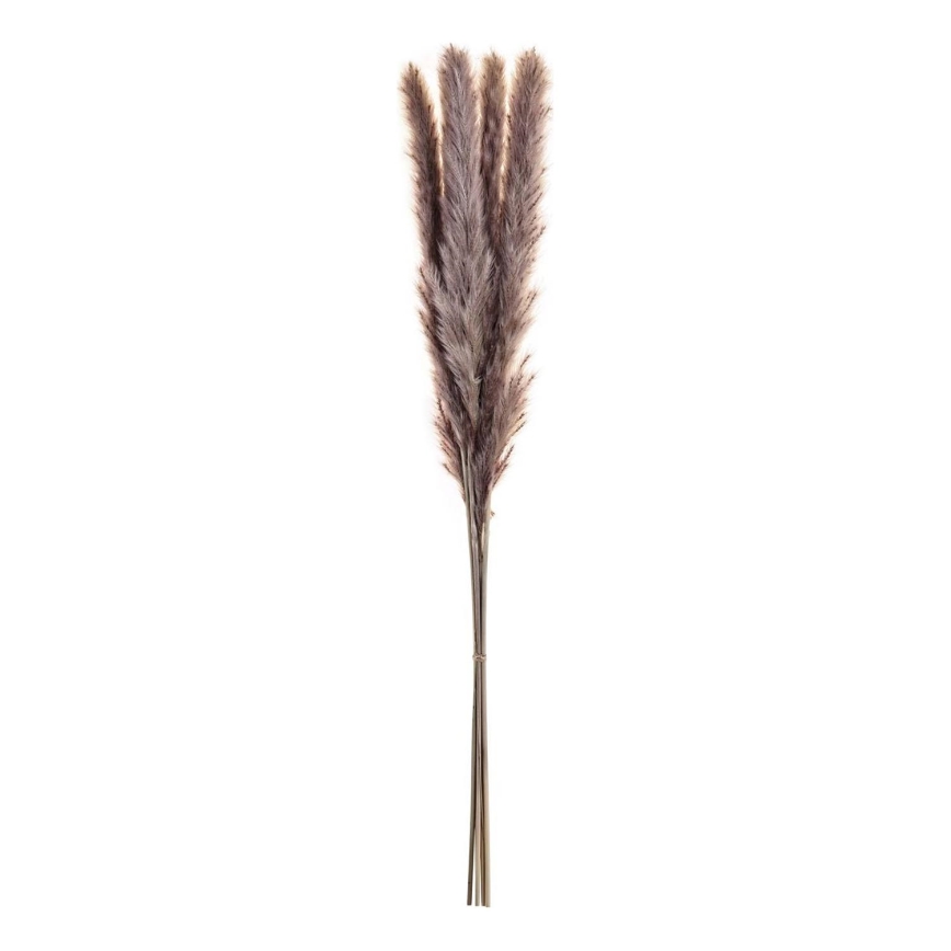 Eglo - Dried λουλούδι 60 cm μωβ